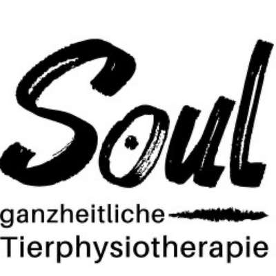 Medizinische Dienstleistungen-Soul ganzheitliche Tierphysiotherapie-Bild