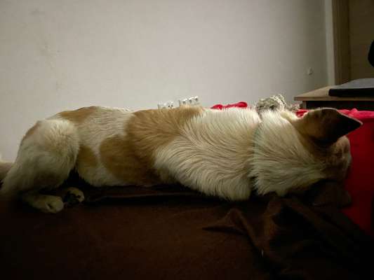 Verrückte Schlafpositionen-Beitrag-Bild