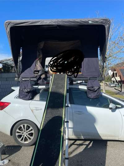 Hundetreppe fürs Dachzelt-Beitrag-Bild