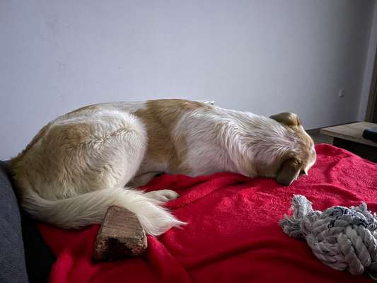 Die unbequemsten und lustigsten Schlafpositionen-Beitrag-Bild