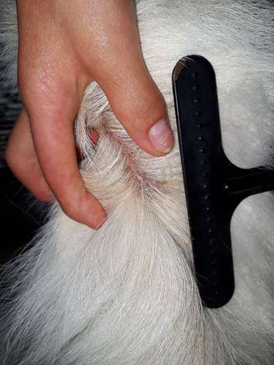 Auffällige Hautstelle-Beitrag-Bild