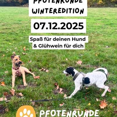 Hundetreffen-Pfotenrunde Winteredition - gemeinsam Gutes tun-Bild