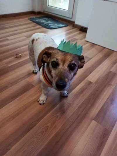 Nahrungsergänzungsmittel-Beitrag-Bild