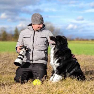 Tierfotografen-Kevin Zumbo Hundefotografie-Bild