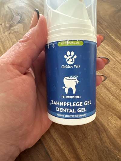 Welche Zahnpasta für den Hund könnt ihr Empfehlen?-Beitrag-Bild