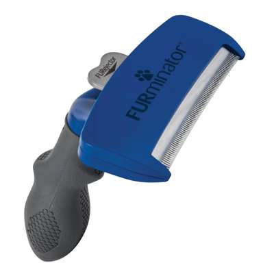 Fell kürzen wegen Hitzeempfindlichkeit-Beitrag-Bild