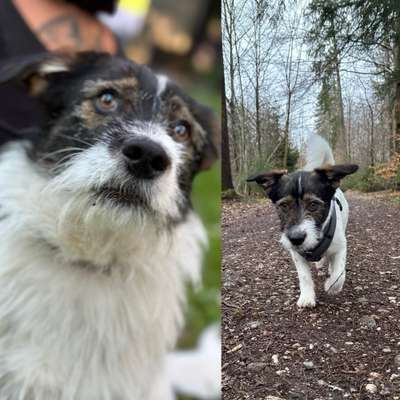 Fell kürzen wegen Hitzeempfindlichkeit-Beitrag-Bild