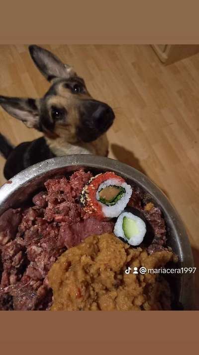 Zeigt her Eure Futternäpfe-Beitrag-Bild