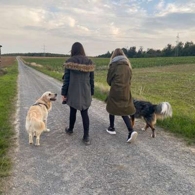 Hundetreffen-WhatsApp-Gruppe-Bild