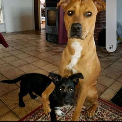 Fotochallenge liebespaare-Beitrag-Bild