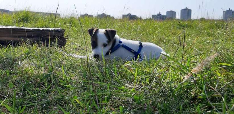 Postet eure schönsten Bilder von Spaziergängen in 2020!-Beitrag-Bild