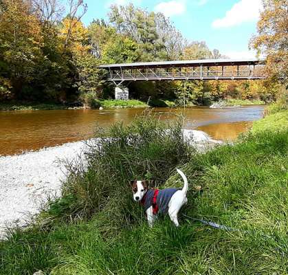 Postet eure schönsten Bilder von Spaziergängen in 2020!-Beitrag-Bild