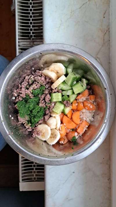 Zeigt her Eure Futternäpfe-Beitrag-Bild