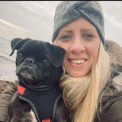 Hundetreffen-Spiel oder gassi Runde-Profilbild