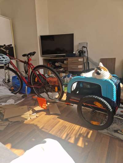 Welche Fahrräder nutzt ihr?-Beitrag-Bild