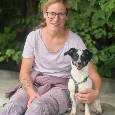 Hundetreffen-Spazierengehen (Freilauf)-Bild