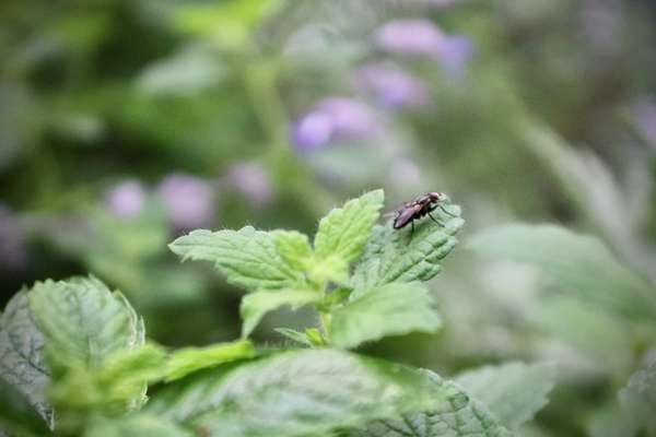 Austausch zur Fotografie-Beitrag-Bild