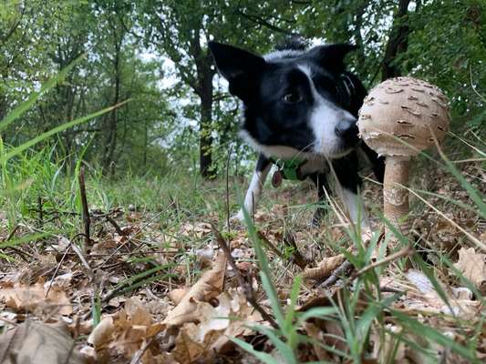 Selbstvertrauen Boosten-Beitrag-Bild