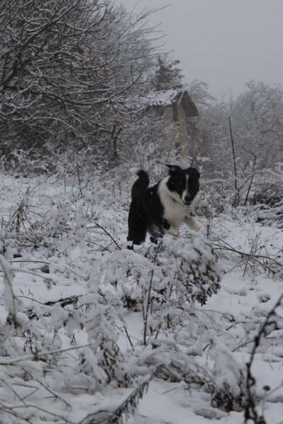 Austausch zur Fotografie-Beitrag-Bild