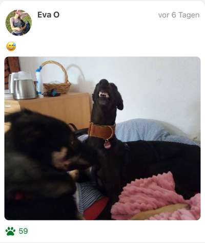 Handy-foto Challange nr. 11-Beitrag-Bild