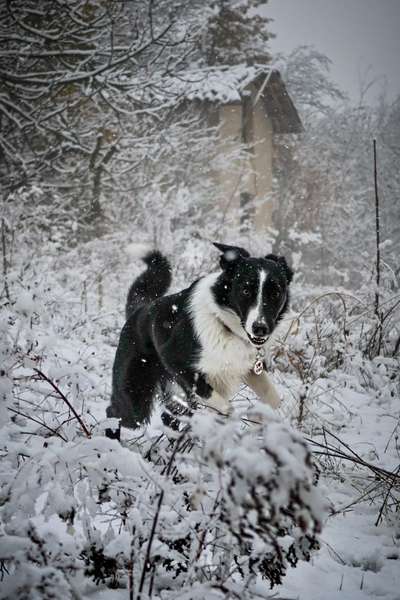 Austausch zur Fotografie-Beitrag-Bild