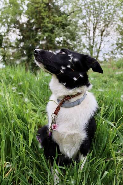 Austausch zur Fotografie-Beitrag-Bild