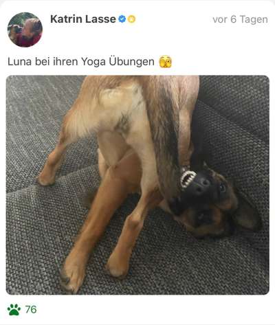 Handy-foto Challange nr. 11-Beitrag-Bild