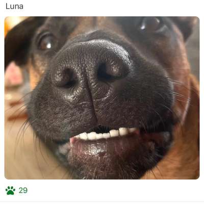 42. Handy Fotochallenge - Den richtigen Riecher haben-Beitrag-Bild