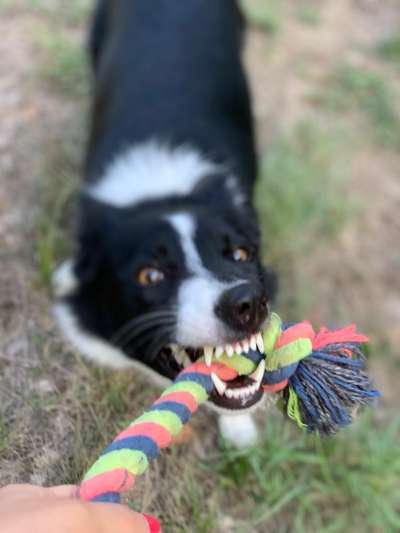 Handy-Foto Challange Nr. 10-Beitrag-Bild