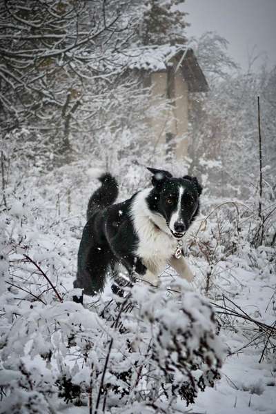 Austausch zur Fotografie-Beitrag-Bild
