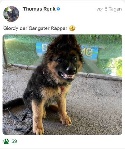 Handy-foto Challange nr. 11-Beitrag-Bild