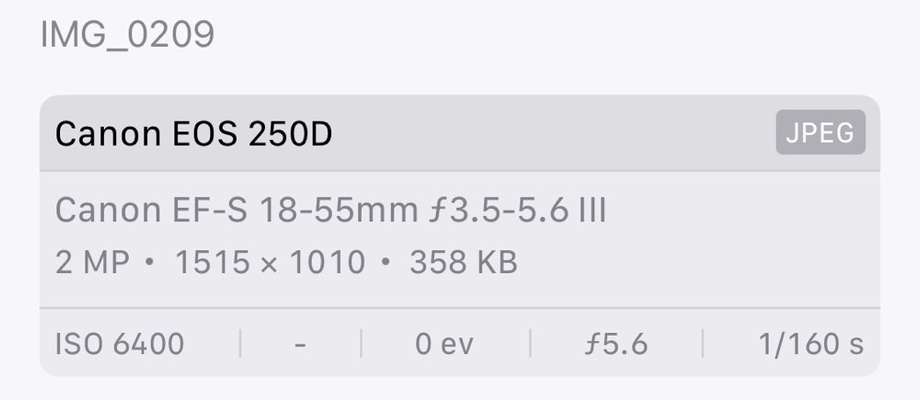 Austausch zur Fotografie-Beitrag-Bild