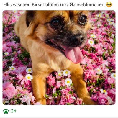 Farben-Fotochallenge: Rosa-Beitrag-Bild