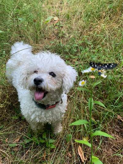 Ist das ein...?-Beitrag-Bild