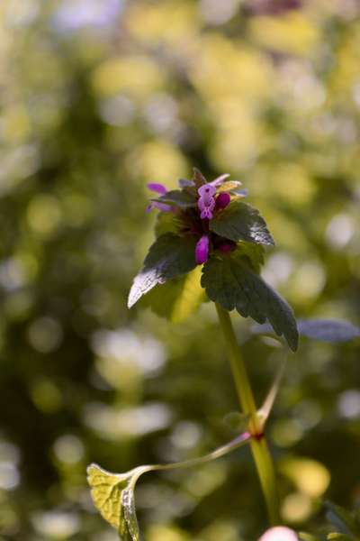 Austausch zur Fotografie-Beitrag-Bild