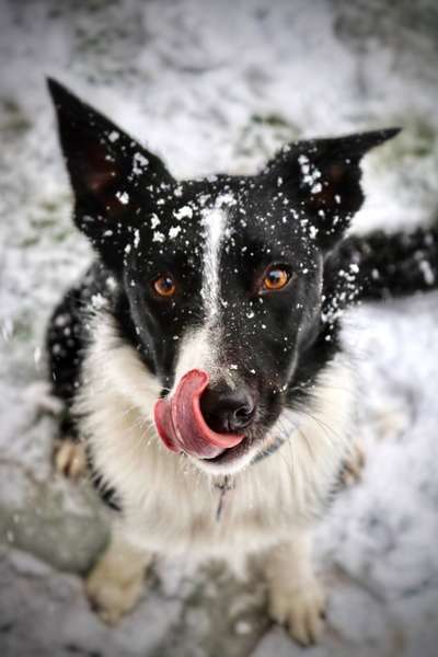 Austausch zur Fotografie-Beitrag-Bild