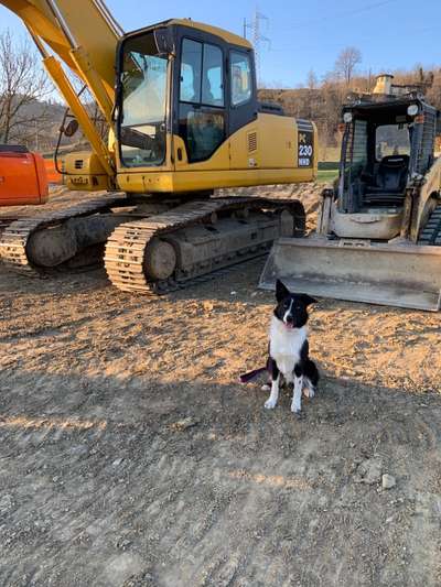 56. Handy Foto Challenge - Grosse Maschinen-Beitrag-Bild