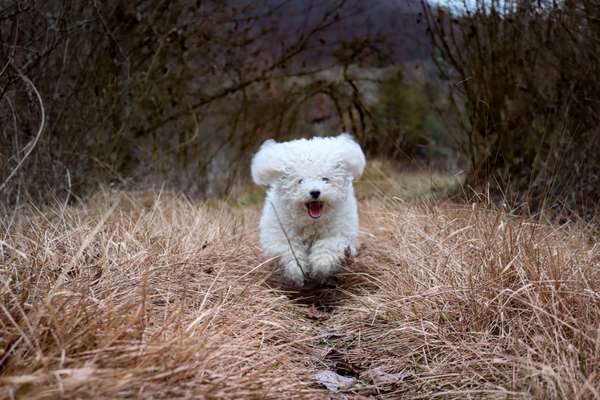 Austausch zur Fotografie-Beitrag-Bild