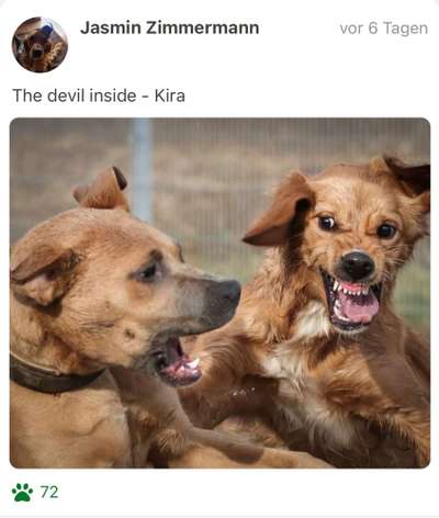 Handy-foto Challange nr. 11-Beitrag-Bild