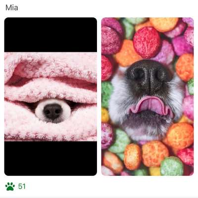 Farben-Fotochallenge: Rosa-Beitrag-Bild