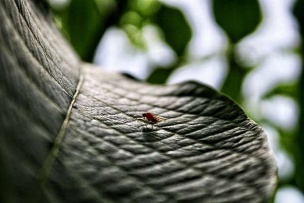 Austausch zur Fotografie-Beitrag-Bild