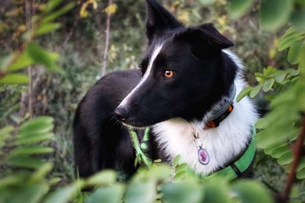 Austausch zur Fotografie-Beitrag-Bild