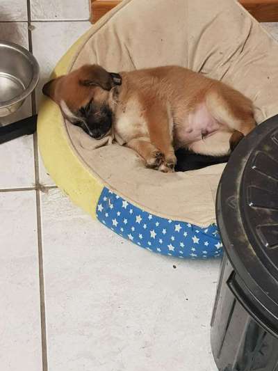 Fotochallenge Nr.65-Beitrag-Bild