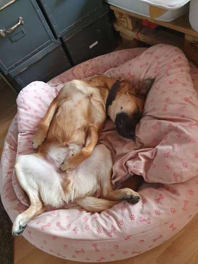 Die unbequemsten und lustigsten Schlafpositionen-Beitrag-Bild