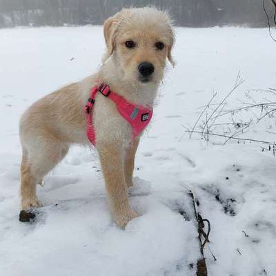In welchem bundesland lebt ihr-Beitrag-Bild