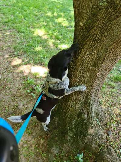 Handy Foto Challenge Nr. 49: Mein Freund der Baum-Beitrag-Bild