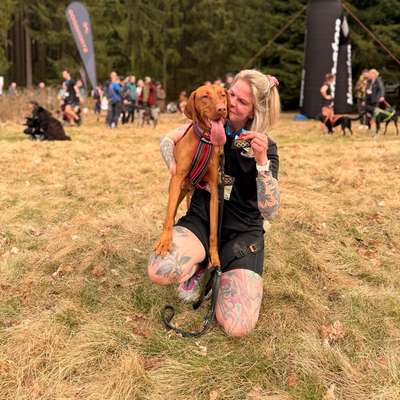 Hundetreffen-Social Walk, Begegnungstraining