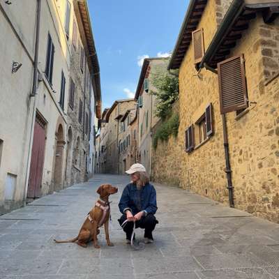 Hundetreffen-Social Walk, Begegnungstraining
