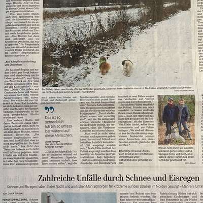 Giftköder-vermeintliche Giftköder-Bild