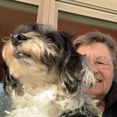 Inken Barbara, 64's Profilbild